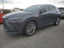 Salvage cars for sale at Riverview, FL auction: 2022 Lexus NX 350