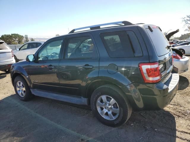 2009 Ford Escape Hybrid