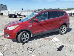 Salvage cars for sale at Earlington, KY auction: 2013 Ford Escape SE