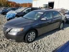 2009 Toyota Camry Hybrid