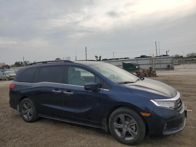 2024 Honda Odyssey EX