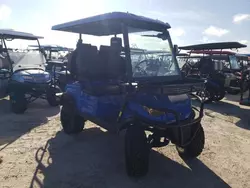 Salvage trucks for sale at Riverview, FL auction: 2022 Epic Golf Cart