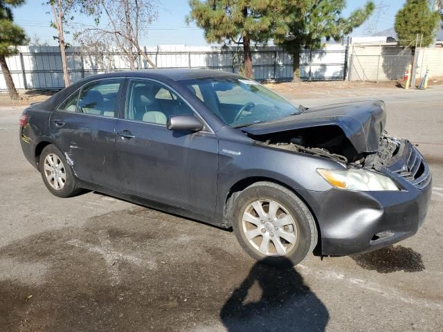 2009 Toyota Camry Hybrid