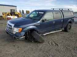 Ford Vehiculos salvage en venta: 2013 Ford F150 Supercrew