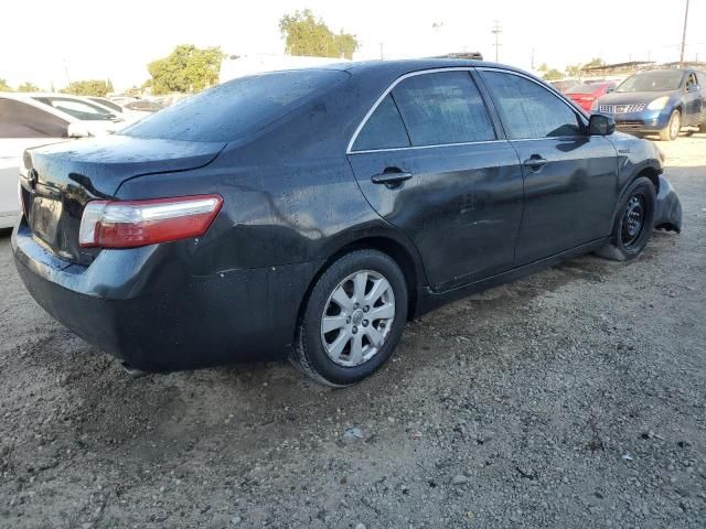 2008 Toyota Camry Hybrid