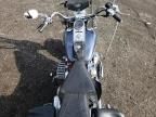 2003 Harley-Davidson Flstfi