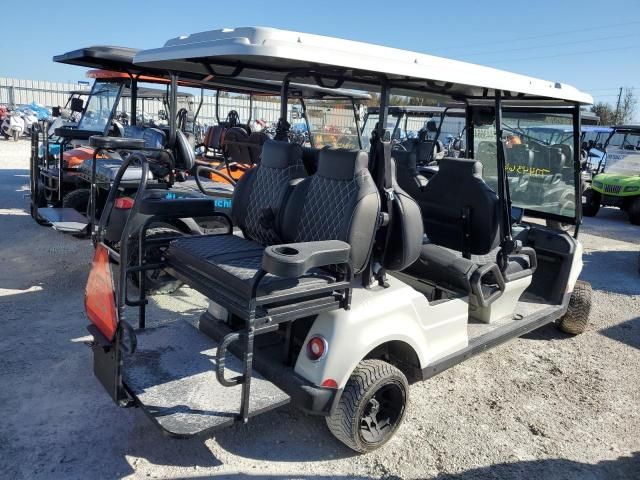 2023 Icon Golf Cart