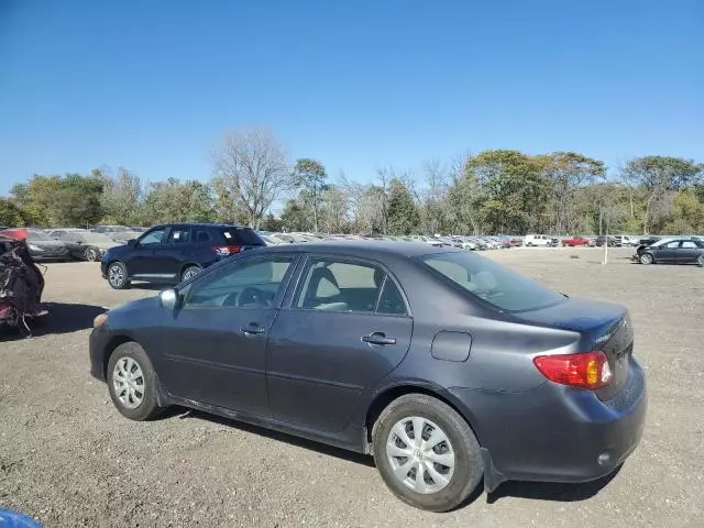 2009 Toyota Corolla Base