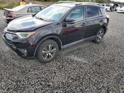 Flood-damaged cars for sale at auction: 2016 Toyota Rav4 XLE