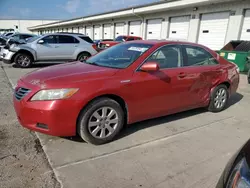 Toyota salvage cars for sale: 2007 Toyota Camry Hybrid