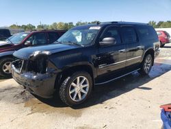 Salvage cars for sale at Louisville, KY auction: 2010 GMC Yukon XL Denali