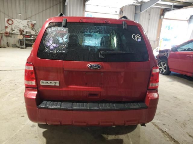 2011 Ford Escape XLT