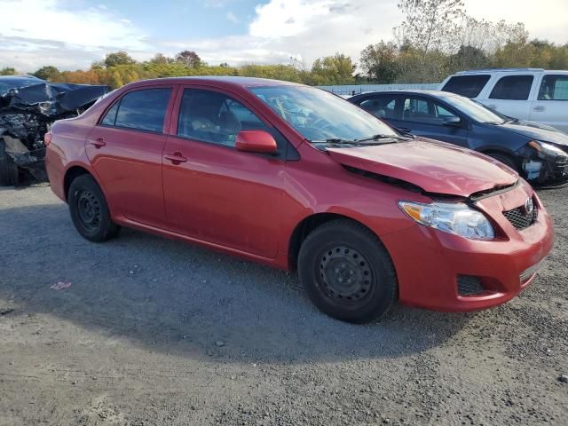 2009 Toyota Corolla Base