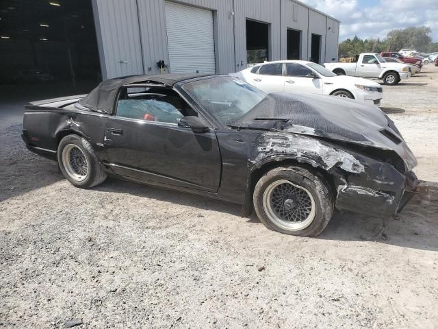 1991 Pontiac Firebird Trans AM