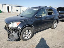 Honda salvage cars for sale: 2011 Honda CR-V EXL