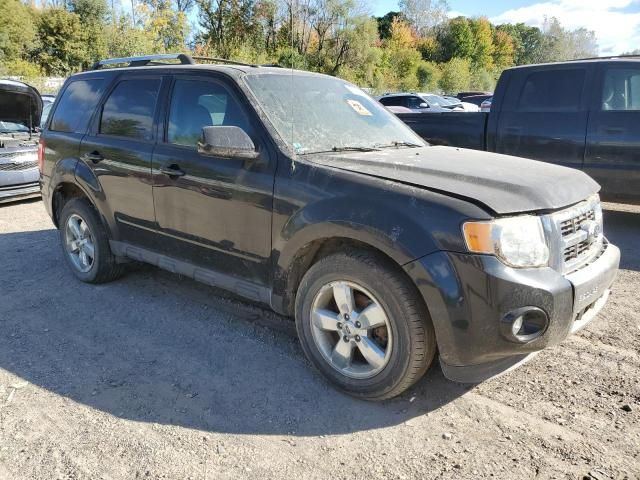 2011 Ford Escape Limited