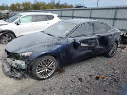 Salvage cars for sale at Lawrenceburg, KY auction: 2015 Lexus IS 250