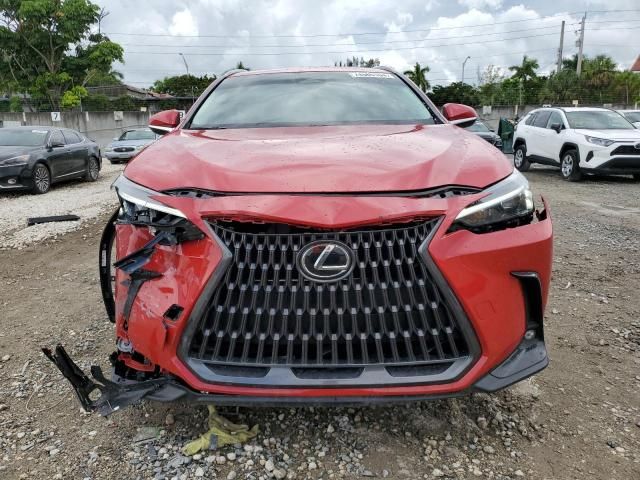 2024 Lexus NX 250 Base