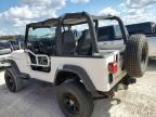 1994 Jeep Wrangler / YJ S