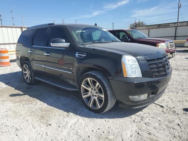 2010 Cadillac Escalade