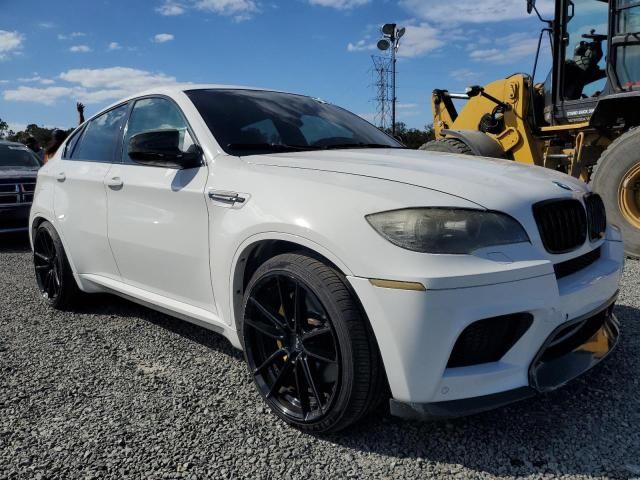 2011 BMW X6 M