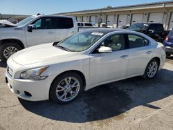 Salvage cars for sale at Louisville, KY auction: 2012 Nissan Maxima S