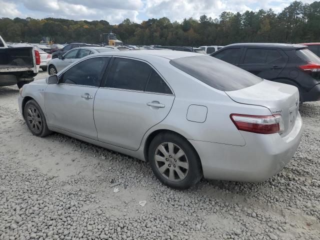 2009 Toyota Camry Hybrid