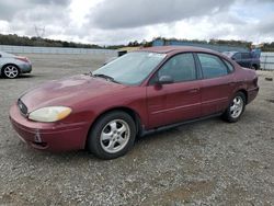 Ford Taurus ses salvage cars for sale: 2004 Ford Taurus SES