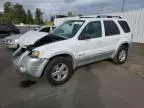 2007 Ford Escape HEV