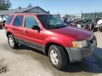 2004 Ford Escape XLT