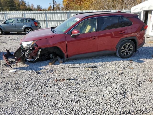 2023 Toyota Rav4 XLE Premium