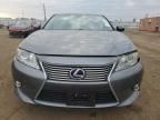 2013 Lexus ES 300H