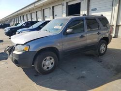 Salvage cars for sale at Louisville, KY auction: 2007 Ford Escape XLS