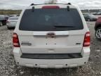 2010 Ford Escape Limited