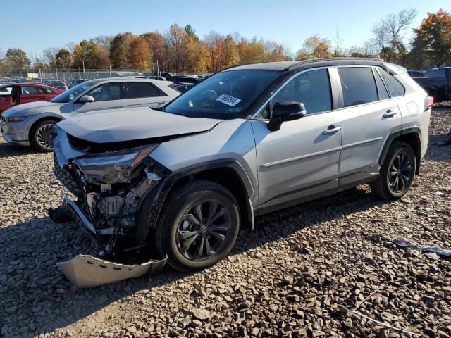 2024 Toyota Rav4 XSE