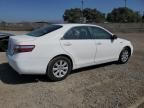 2008 Toyota Camry Hybrid