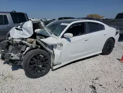 Salvage cars for sale at Taylor, TX auction: 2017 Dodge Charger R/T