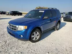 Salvage cars for sale at Taylor, TX auction: 2012 Ford Escape XLT