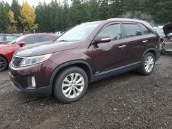 KIA Vehiculos salvage en venta: 2014 KIA Sorento EX