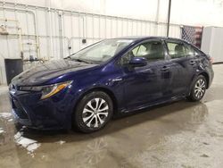 Toyota Corolla salvage cars for sale: 2021 Toyota Corolla LE