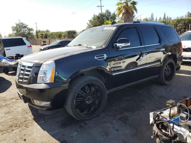 2008 Cadillac Escalade Luxury