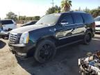 2008 Cadillac Escalade Luxury