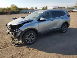 Salvage cars for sale at Columbia Station, OH auction: 2020 Honda CR-V EX