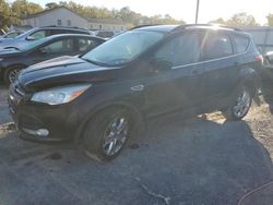 Ford Escape salvage cars for sale: 2014 Ford Escape SE