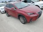 2021 Lexus NX 300H Base