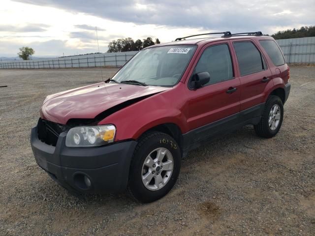 2005 Ford Escape XLT