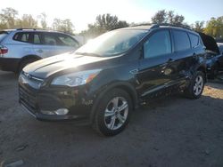 Salvage cars for sale at Baltimore, MD auction: 2014 Ford Escape SE