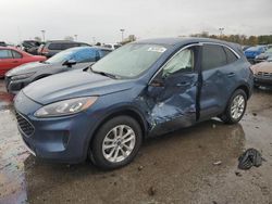 Salvage cars for sale at Indianapolis, IN auction: 2020 Ford Escape SE