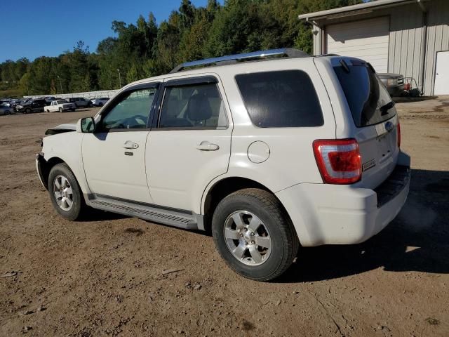 2011 Ford Escape Limited