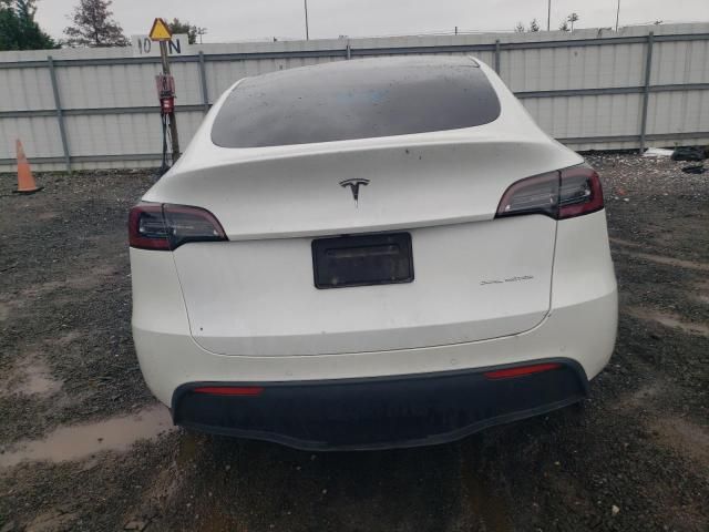 2020 Tesla Model Y